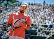 开云体育中国官网-法网轻取年终总决赛，德约科维奇高光表现的简单介绍