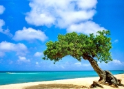 开云体育平台APP-牙买加旋风席卷欧洲？从西甲德比到莱比锡之战的足球多元启示