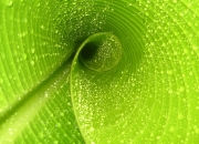 开云足球直播-迪巴拉展现巨星价值，卡塔尔全面压制亚特兰大