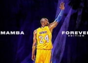 开云体育入口-霍勒迪的终场魔法，猛龙逆转雷霆背后的唯一性时刻