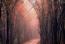 开云体育在线-关于泰然自若的球员展现出色，帮助球队取胜的信息