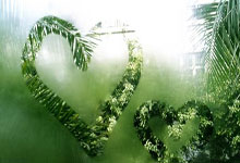 开云体育中国官网-美国网球队绝地反击澳大利亚网球队，穆雷完成帽子戏法的简单介绍