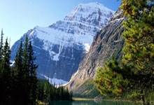 开云体育中国官网-美国网球队绝地反击澳大利亚网球队，穆雷完成帽子戏法的简单介绍