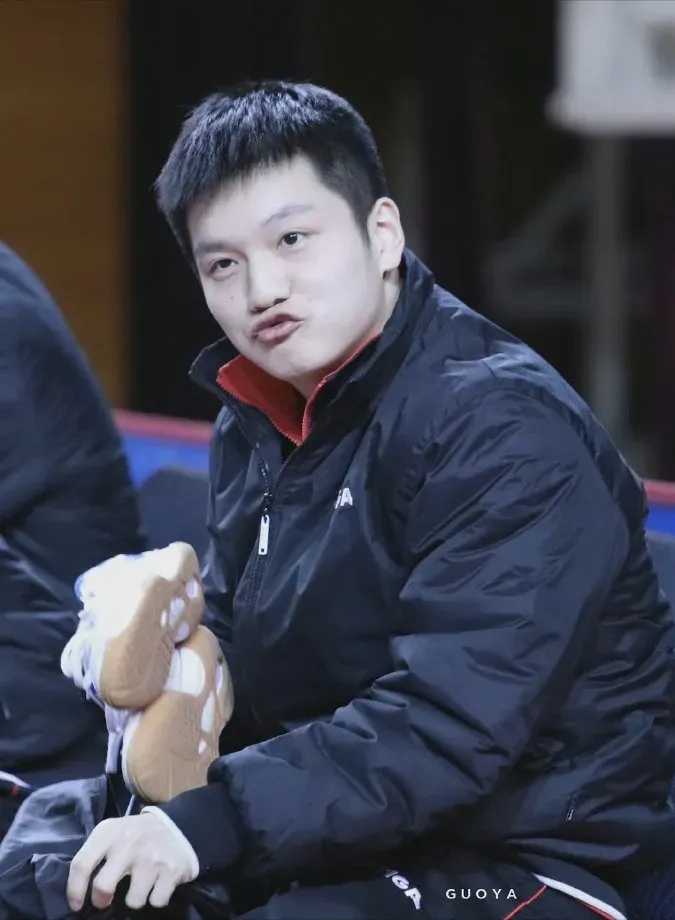 瑞典队力克韩国队，樊振东高光表现的简单介绍