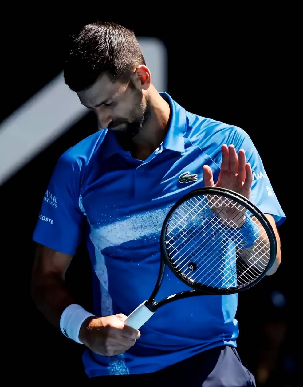 联合杯碾压温网，德约科维奇统治全场的简单介绍