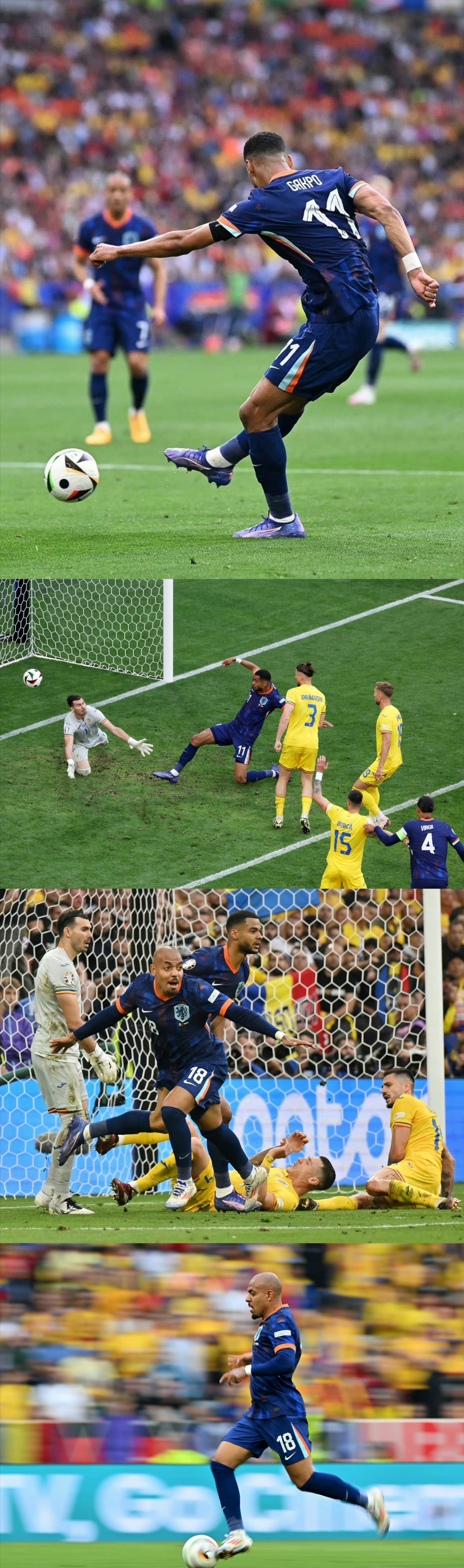 关于荷兰队在欧锦赛上实现逆袭，乘风破浪的信息