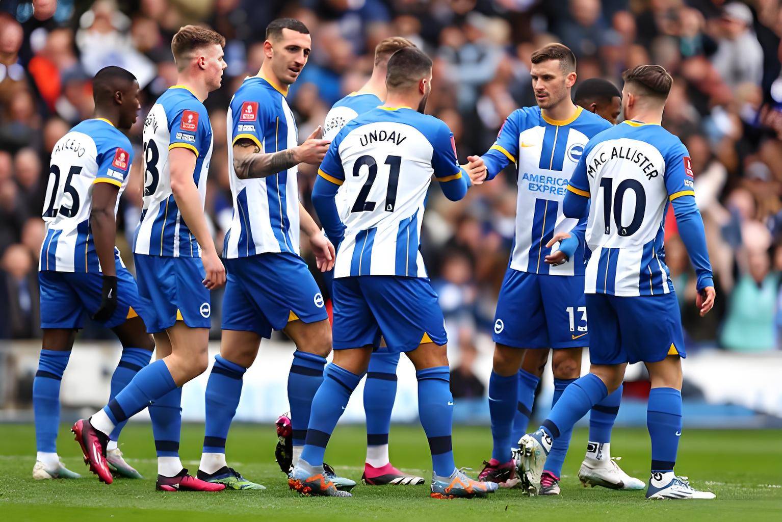 布赖顿迎战利物浦，英超保级压力前所未有的简单介绍